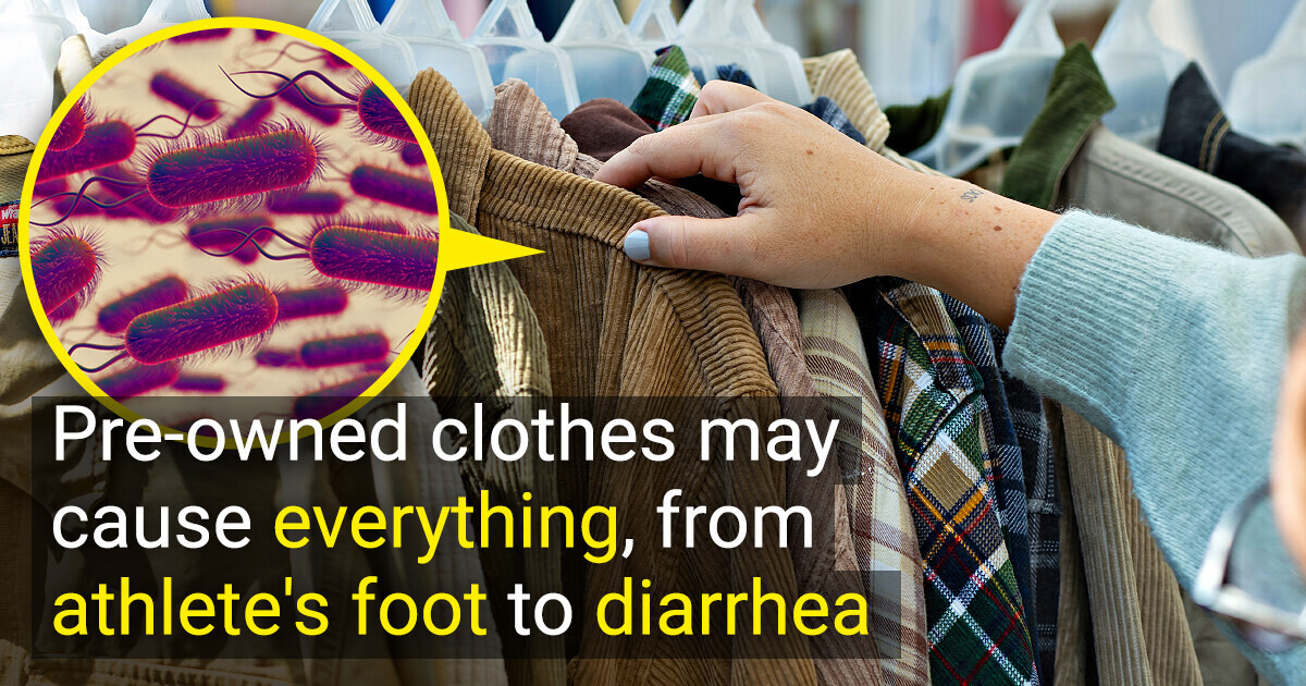 “They’re Swimming in Germs,” Scientists Give an Urgent Warning to Everyone Who Buys Vintage Second-Hand Clothes