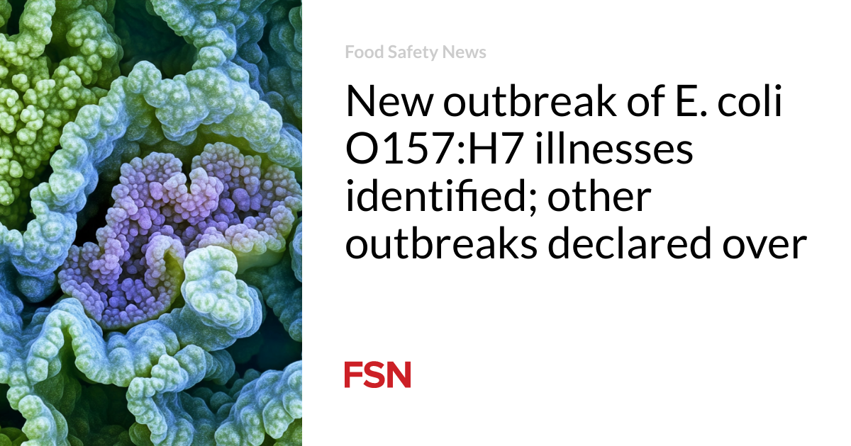 New outbreak of E. coli O157:H7 illnesses identified; other outbreaks declared over